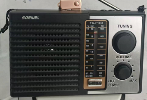 SW-F10UBT