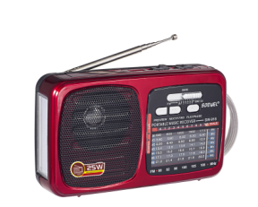 SW-918BT